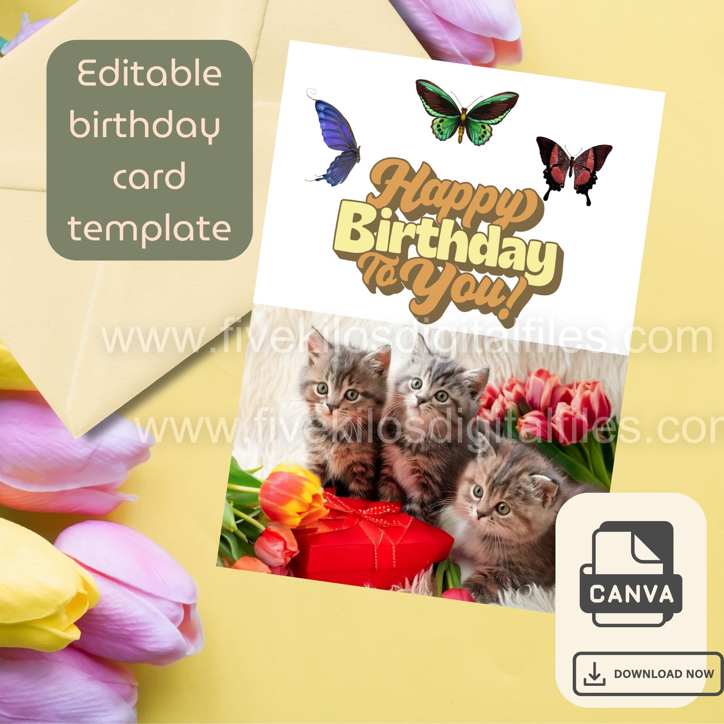 Set of 10 Cute Cat Birthday Cards – Editable Canva Template