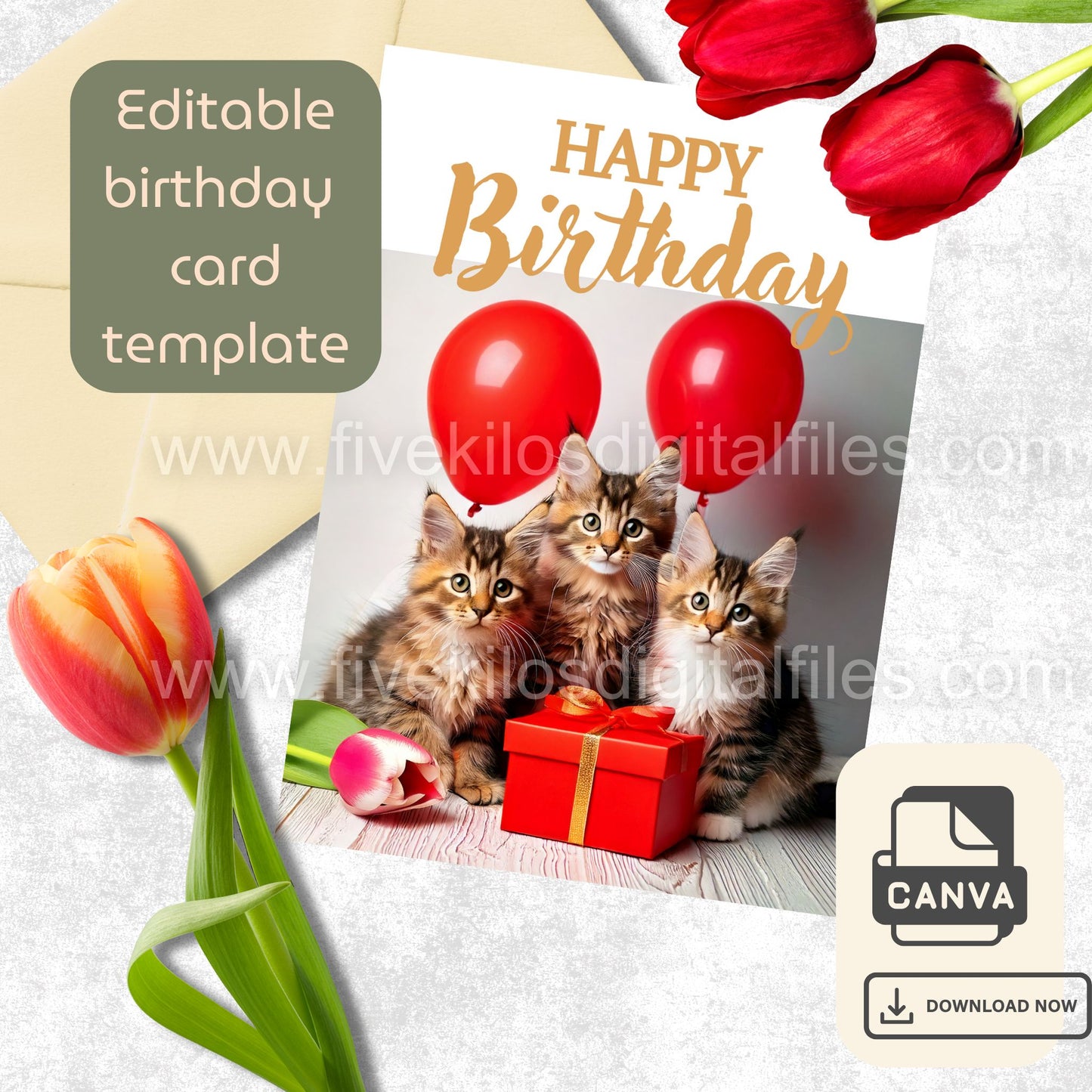 Set of 10 Cute Cat Birthday Cards – Editable Canva Template