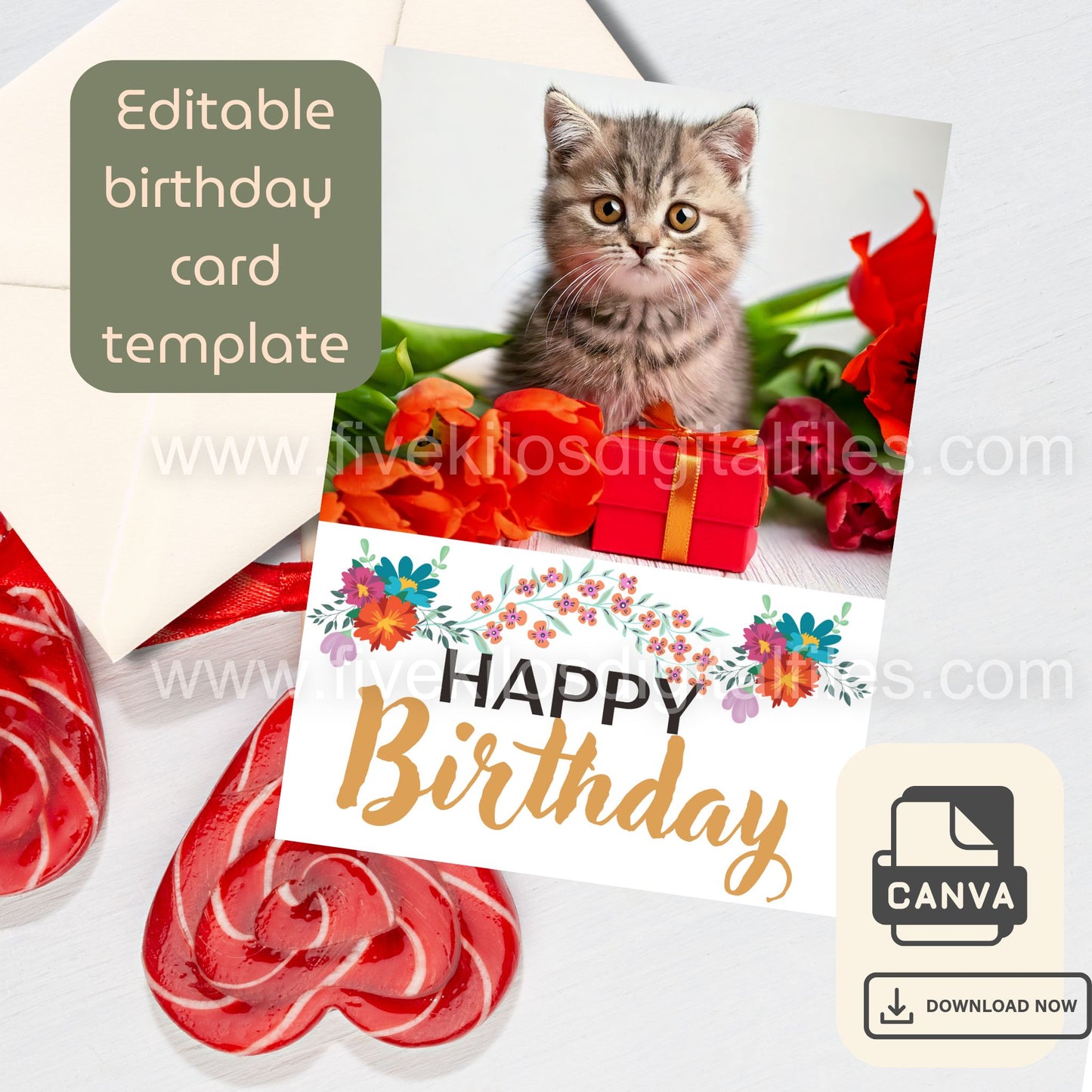 Set of 10 Cute Cat Birthday Cards – Editable Canva Template