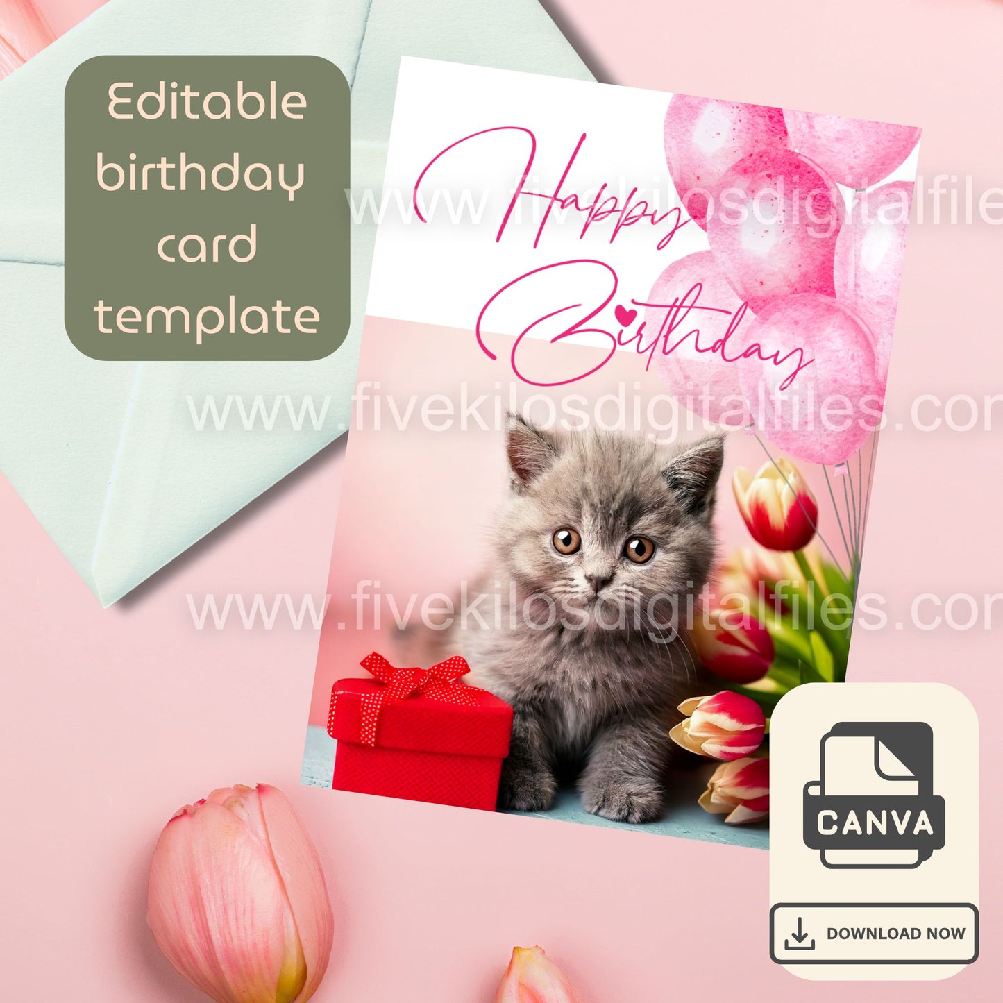 Set of 10 Cute Cat Birthday Cards – Editable Canva Template